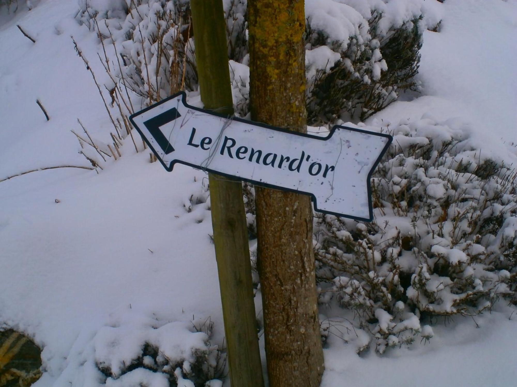Le Renard'Or Bed & Breakfast Trois-Ponts Ngoại thất bức ảnh